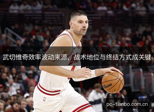 武切维奇效率波动来源，战术地位与终结方式成关键